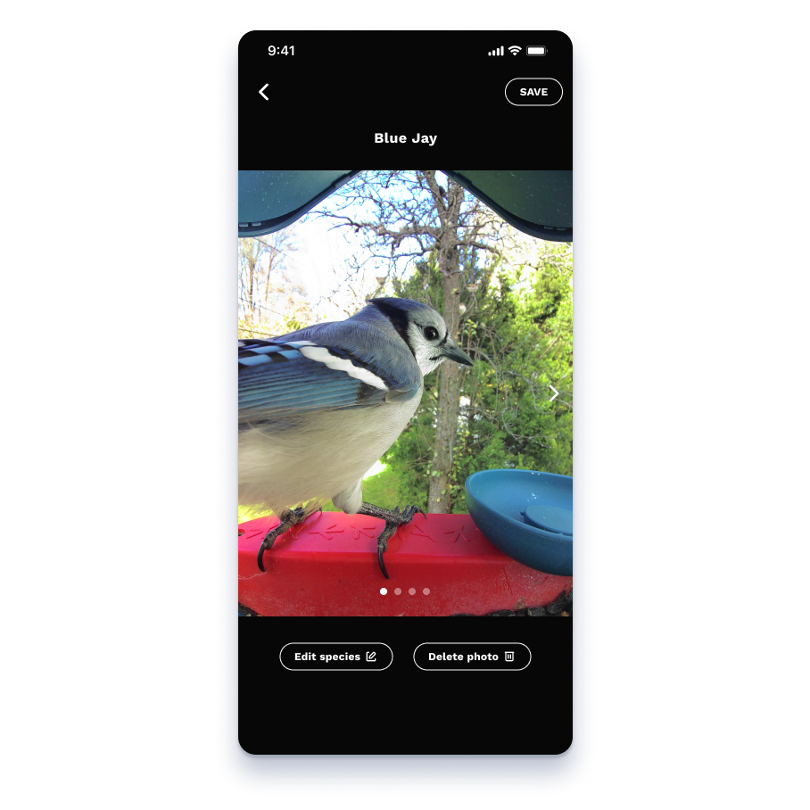 Screenshot export 11.png