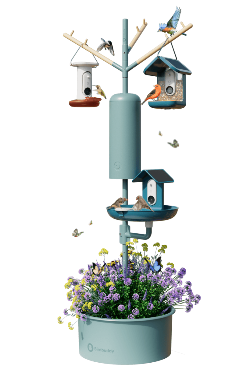 Nature Station image