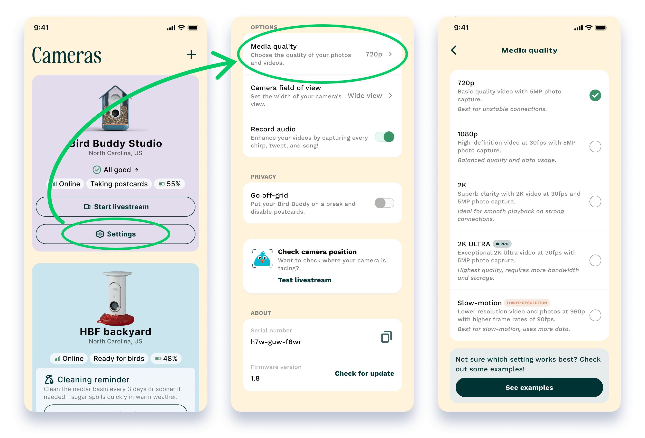 How to Set Up Bird Buddy 