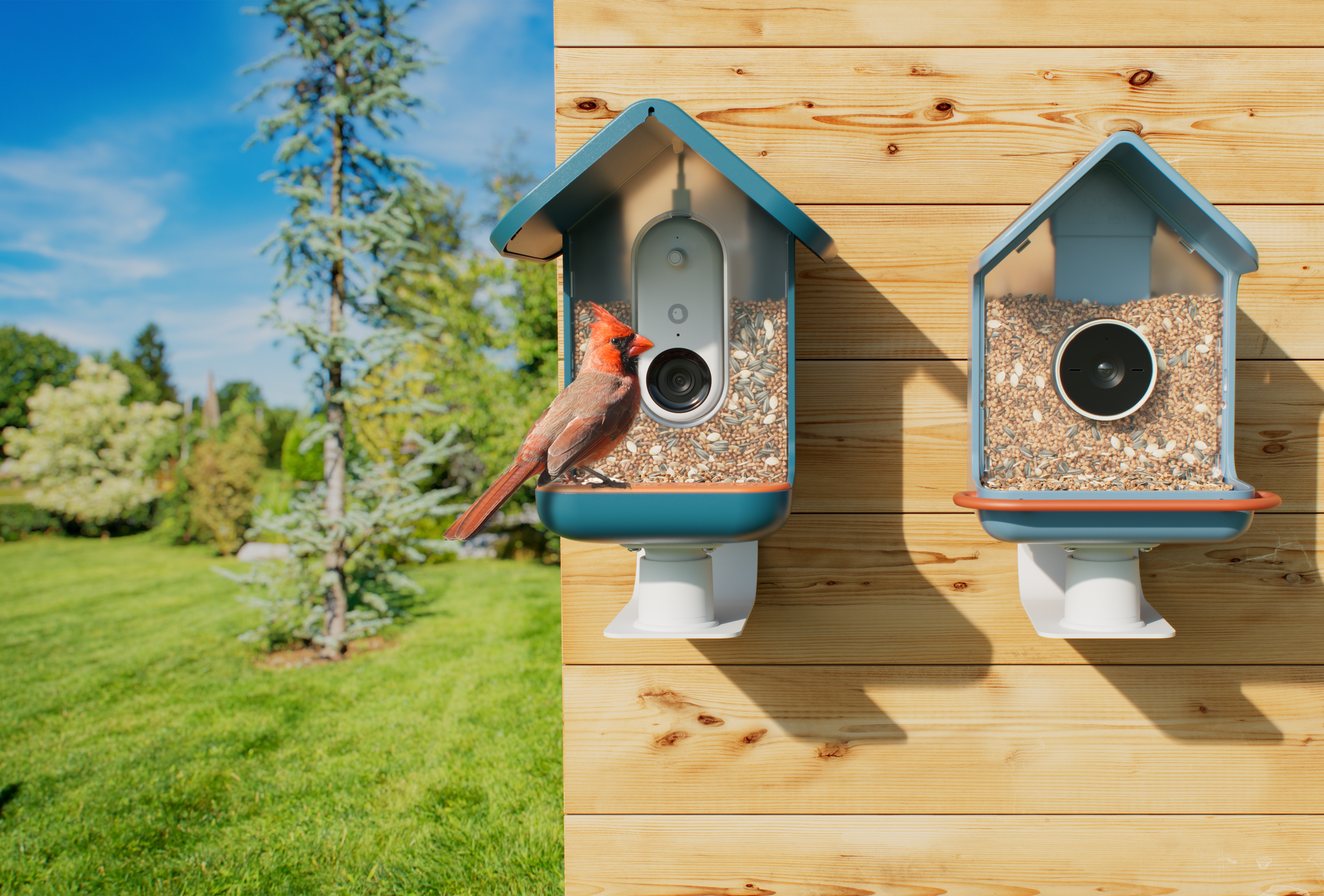 250912_Comparison_BB2_BB1_WallMount_Frontal_Birds_5670x3840_MO_V1.jpg