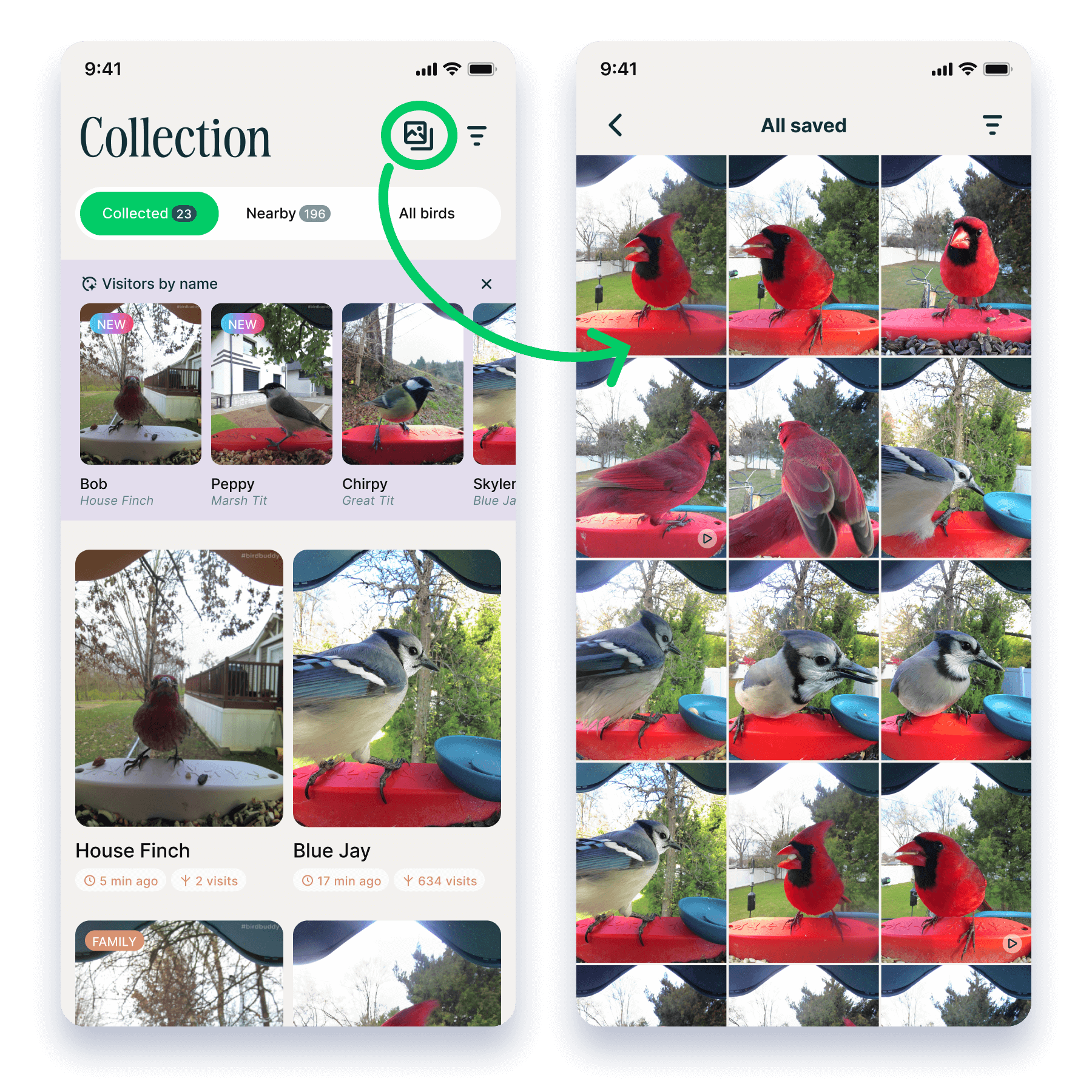 Screenshot export 74@2x (1).png