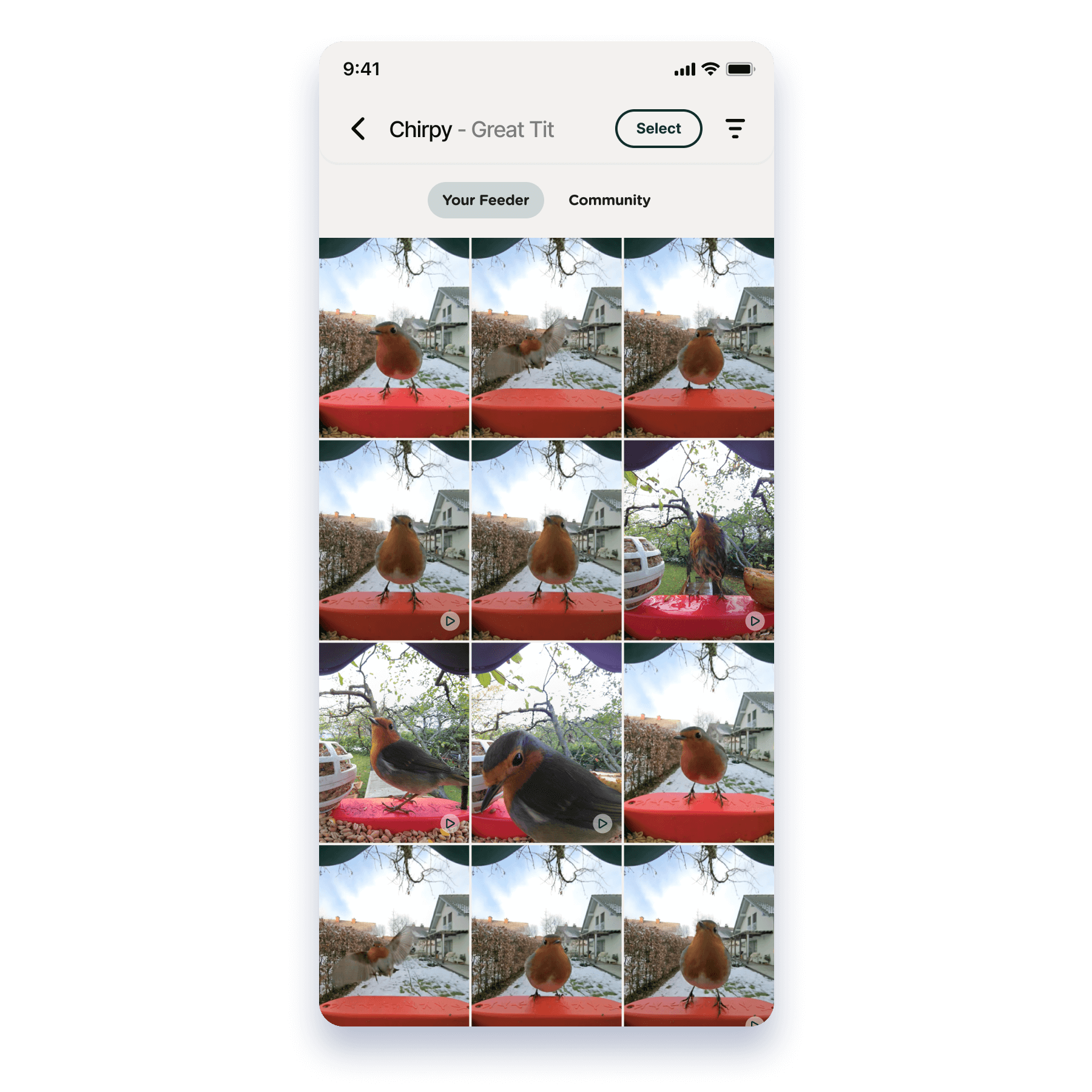 Screenshot export 96@2x (1).png