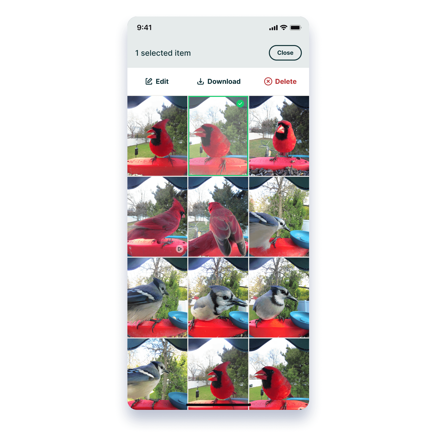 Screenshot export 87@2x (1).png