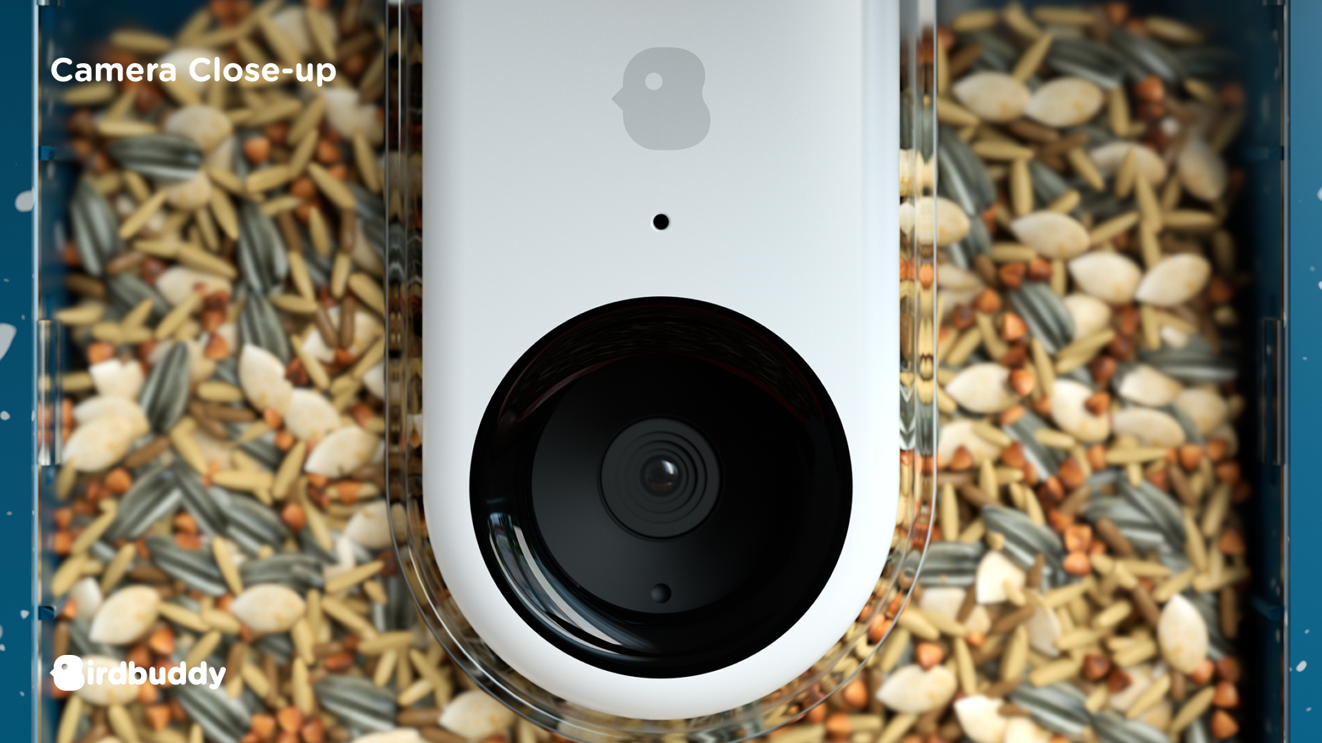 BB_zendesk_BB_camera_closeup.png