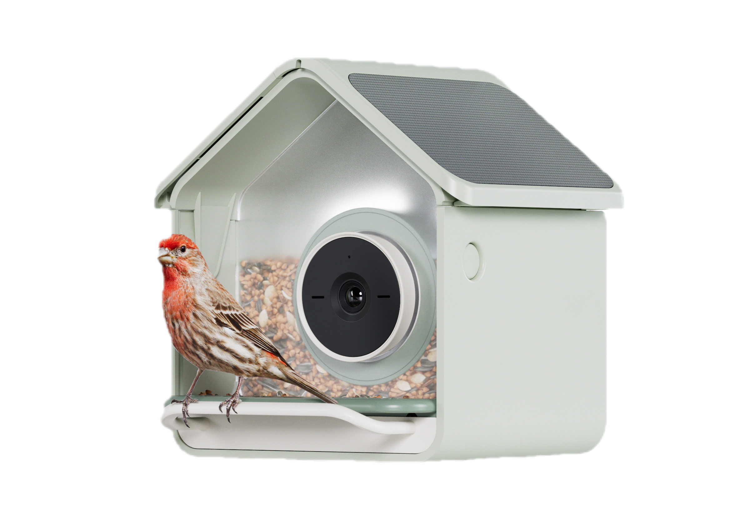 260616_Nook_Bird_Solar_Hero_2560x2560_MO_V1.png