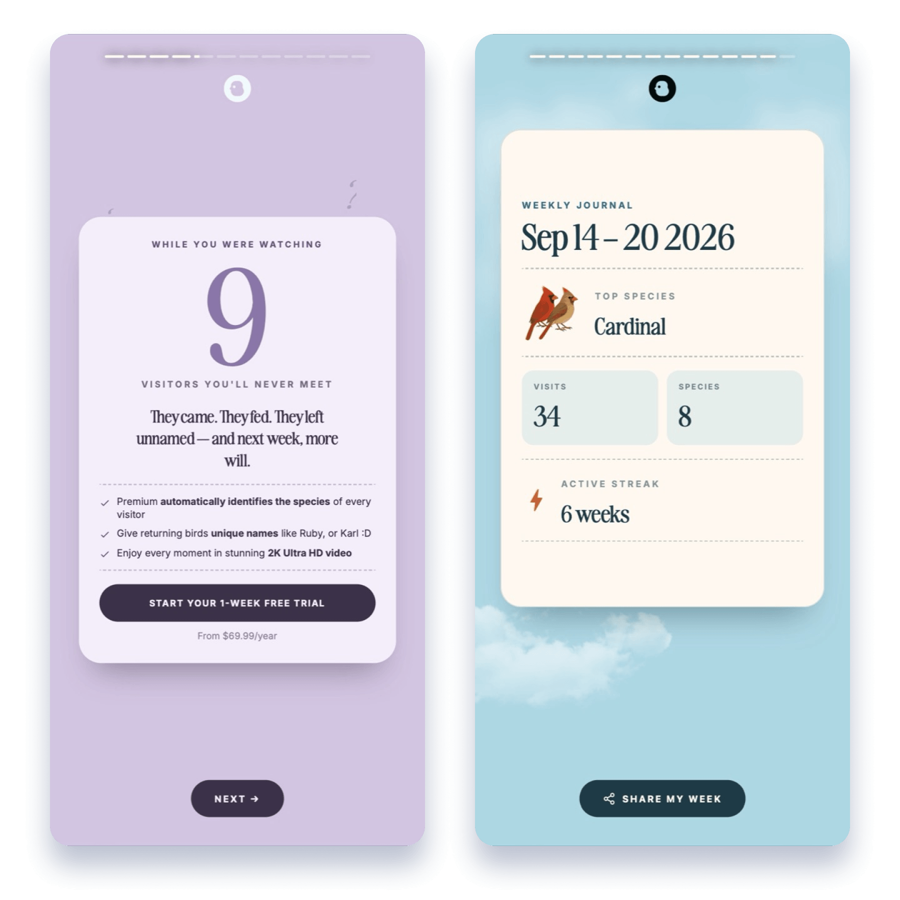 Screenshot export 52@2x (1).png