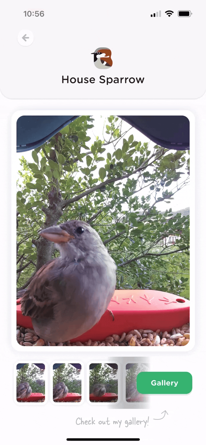 Reporting_comm_photo.gif
